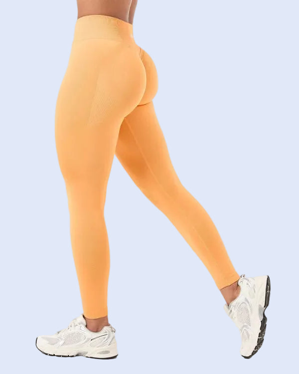 Adapt Seamless Leggings - ActivewearBox.com